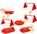 12-Hole No-Scratch & Spill-Proof Chick Feeder, Leak-Resistant Chick Waterer, and Poultry Waterer with Perches - Complete Brooder/Coop Starter Kit for Raising Poultry (G Set)