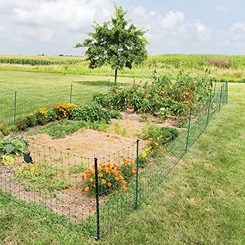 Premier 1 VersaNet® Plus, 30"H x 100'L Portable Electric Garden Net Fence with Built-in Posts | 2" x 2" Strand Spacing at Bottom to Keep Rabbits, Raccoons and Varmints Out of Gardens | Green/Black