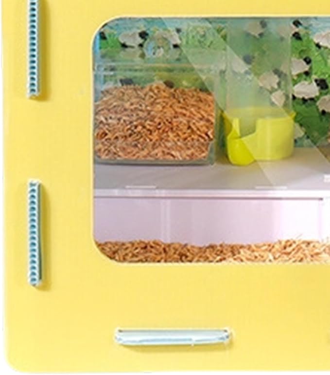 Chick Brooder Kit, 19.69x13.78 Inch Portable Observation Box, Breathable Quail Habitat with Clear Window for Indoor Raising, Hatching, Farm, Hobby