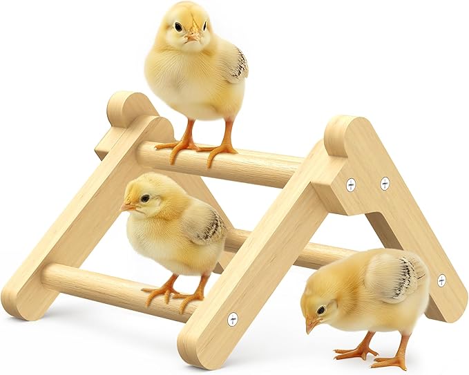 Innoland Chick Perch Foldable, Chick Toys Stable & No Assemble, Baby Chick Toys for Stand Training, 8.27" × 7.68" × 4.92" Roosting Perch for Chicks Brooder | Coop (S)