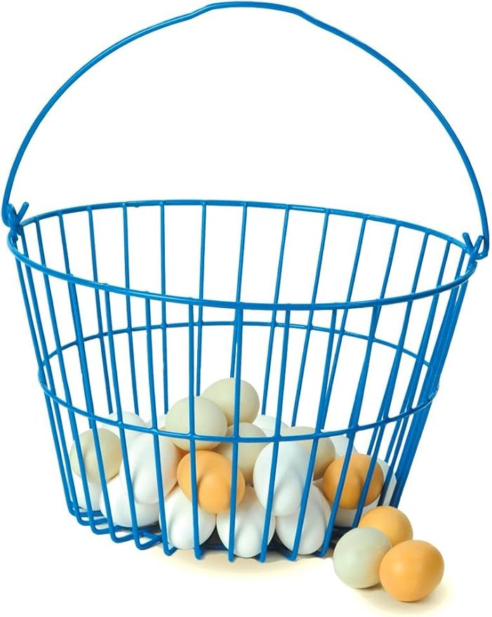 Plastic Coated Wire Egg Basket Rust Resistant USA Made 9 x 14 inch Blue