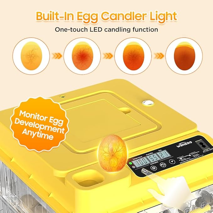 Egg Incubator - 2026 New Egg Incubator with Automatic Egg Turning and Humidity Control,Large Poultry Hatcher for Chickens Birds Ducks (288 Eggs)