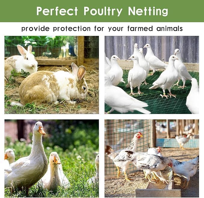 Tongmo Hardware Cloth, Chicken Wire Fencing, 19 Gauge Galvanized Wire & 1"x1" Mesh Size Welded Wire Roll Garden Fence, Poultry Netting for Rabbit/Duck/Chicken Coop (60" x 100')