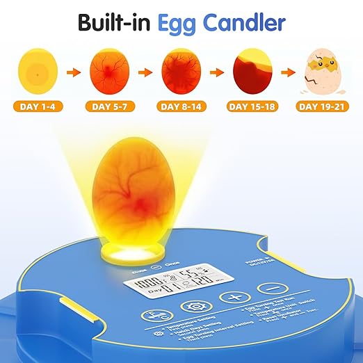 Chicken Egg Incubators for Hatching Eggs, 18 Egg Incubator with Automatic Egg Turning, Digital Control, 2 Egg Trays, Candler & Automatic Water Refill for Chicken Quail Duck Turkey Goose Bird