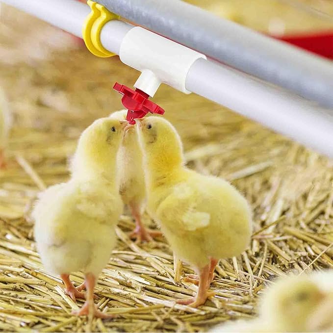 12 Packs Chicken Water Nipples with 1/2'' PVC Tee Fittings, DIY Automatic Chicken Drinking System, Horizontal Side-Mounted Poultry Pacifier Drinking Water Fountain for Poultry
