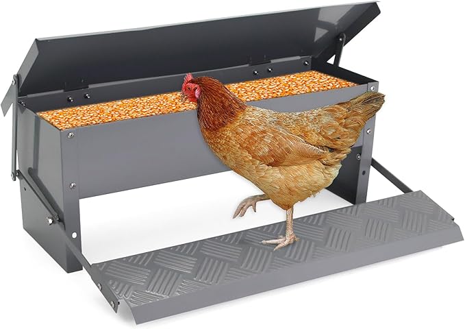 Automatic Chicken Feeder Metal Treadle Trough 15lb Outdoor Rainproof for Chickens, Bantams, Poultry, Pheasants