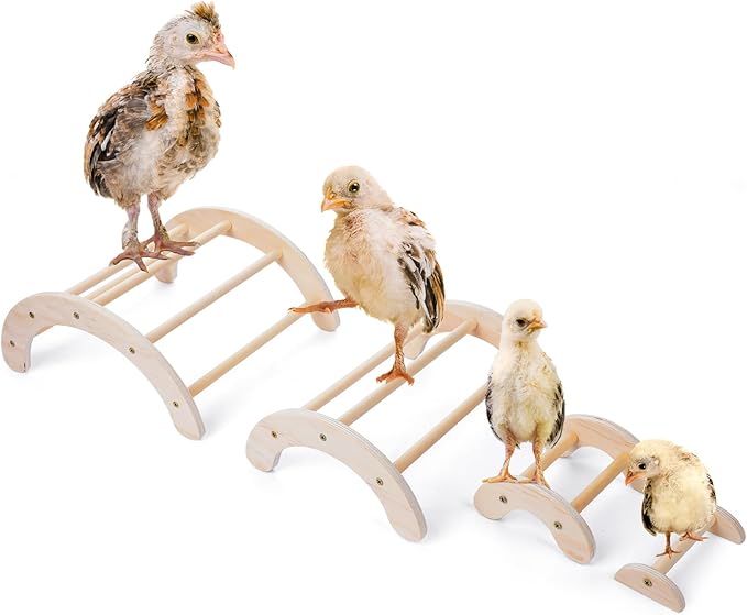 Chicken Roosting Bar Set: 4 Stackable Wooden Perches for Backyard