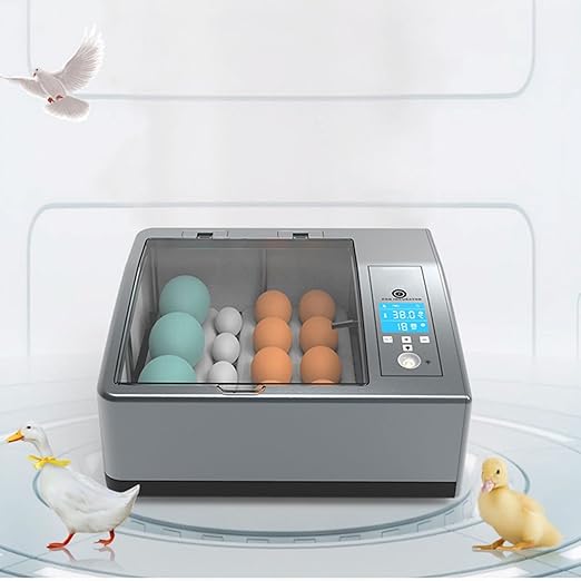 16 Chicken Egg Incubator,Mini Automatic Temperature Incubator, Fully Digital Hatcher with Automatic Turner Temp Control,LCD Screen, for Hatching Chicken Quail(Grey)