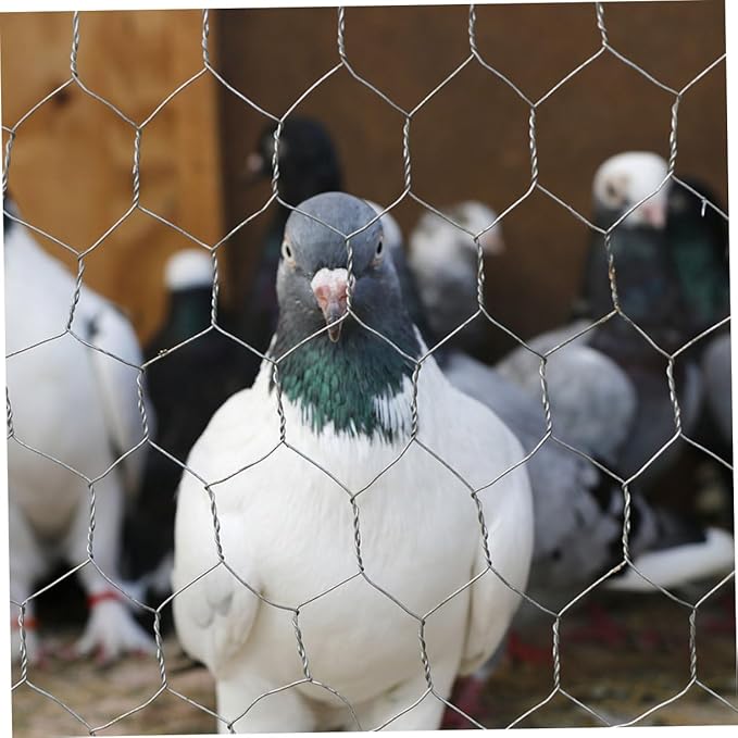 1 Roll Galvanized Wire Fence: 15.7inch X 13.1ft Heavy Duty Mesh for Chicken Coop - Farmhouse Poultry Netting - Bird Deer Barrier for Garden
