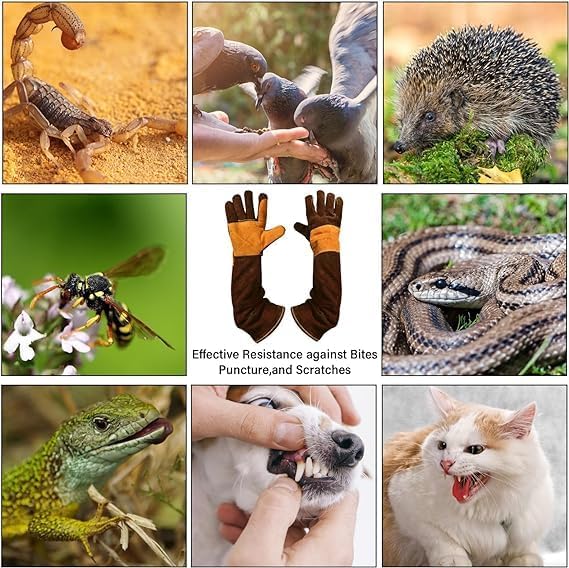 Animal Handing Gloves Bite Proof,Leather Welding Gloves,Multipurpose Puncture Proof Glove for Dog,Cat,Reptile,Snake