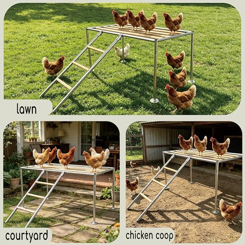 XCL Chicken Roosting Bars, Chicken Perch for Coop (Platform 42" L x 24" W) - Wood color, Galvanized pipe material & timber - Image 5