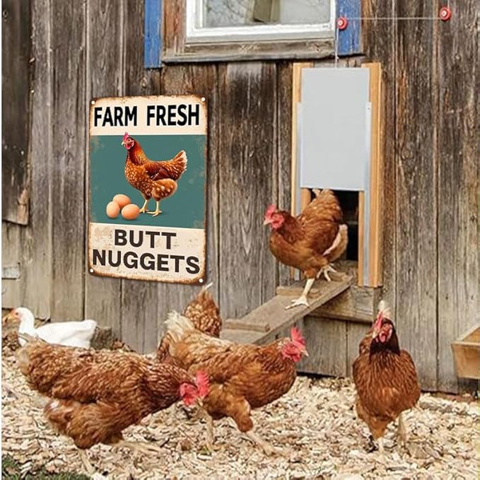 Vintage Metal Signs Chicken Coop Signs for Farm Yard Decor, Farm Tin Signs for Home Kitchen Outdoor Decor, Fresh Butt Nuggets 8x12 inches