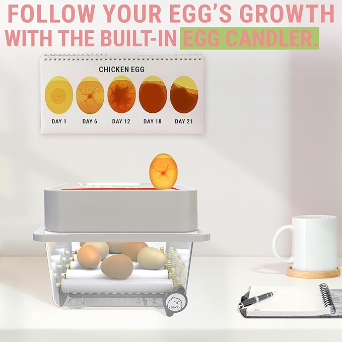 OBI-12 Egg Incubators for Hatching Eggs – Incubator for 12 Eggs with Automatic Egg Turner - Brooder for Chicken Eggs, Quail, and Duck Eggs - Orange