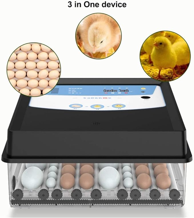 Digital Automatic Hatcher,Egg Incubator with Automatic Turning Function, with Temperature Control,Digital Incubatores,Or Hatching Chickens Ducks Eggs, Goose Egg,