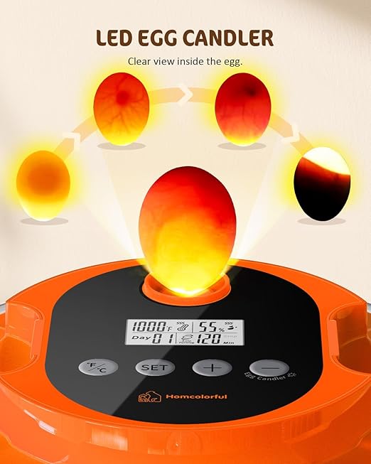 18 Egg Incubator with Automatic Turning & Humidity Control, Fully Automatic Incubators with 2 Trays, Egg Candler, for Hatching Chicken, Duck, Goose, Quail, Pigeon, Turkey, Home, Classroom, Farm Use