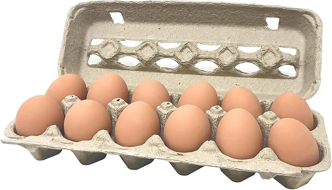 Paper Pulp Egg Cartons - 50 Pack