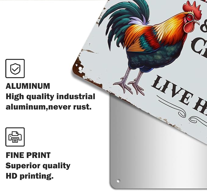 Funny Chicken Gifts for Women, An Old Rooster And A Cute Chick Live Here Aluminium Plate Signs, Humorous Chicken Decor for Farmhouse Coop Kitchen, Rustic Wall Art Decorations 8 X 12 Inch Metal Signs