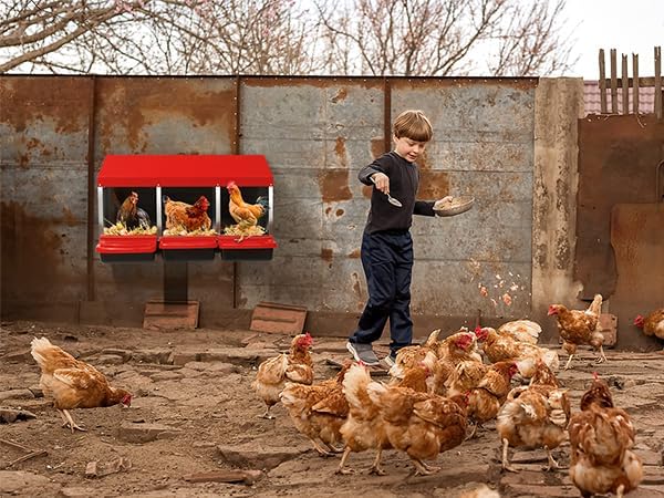 Outvita Chicken Nesting Boxes, 3 Compartments Chicken Egg Laying Box, Nesting Boxes for Chickens with Swing Perch and Roll Away Egg Collection for Chicken Coop, Red