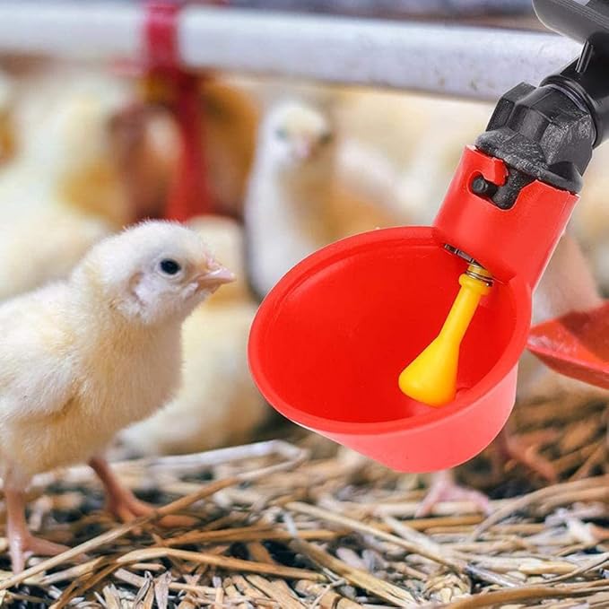 10 Pieces Automatic Poultry Drinking Cups, Chicken Water Feeder Chicken Waterer Drinking Cups and 10 Pieces Chicken Waterer PVC Tee Fittings for Chicken Quail Pigeon Duck