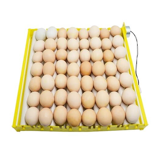 Morishima Automatic Multifunction Incubator Egg Tray Turning Hatcher for Chickens/Ducks/Birds/Poultry（9 Tubes）