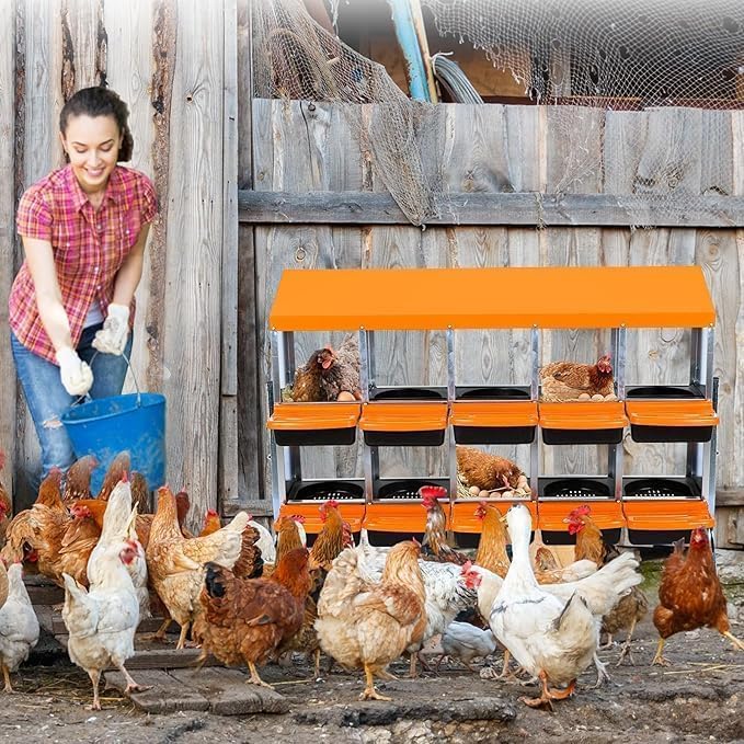 Chicken Nesting Box，10-Hole Nesting Boxes for Chicken Coop with Removable Plastic Egg Tray & Ventilation Holes, Wall Mount/Freestanding Poultry Laying Boxes for Hens, Ducks & Coops