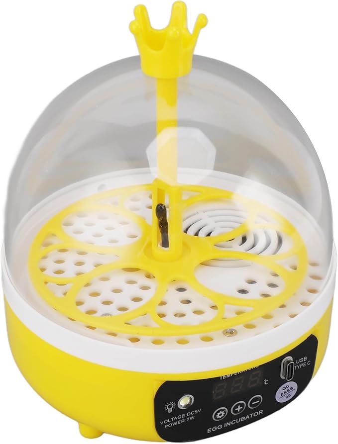 Mini Egg Incubator, Automatic Temperature Humidity Control with Transparent Lid, for Chicken Duck Eggs Home School Use (Manual Turning)