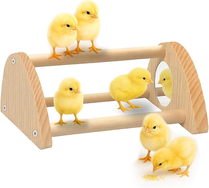 Chick Perch with Mirror – Sturdy Wooden Roosting Bar for Coop & Brooder, Training Perch for Chicks, Easy to Assemble & Clean, Fun Activity Toy for Poultry