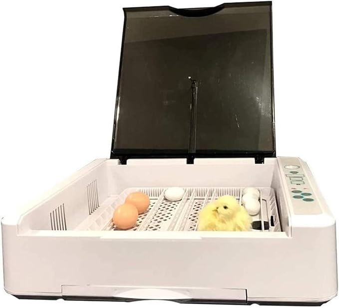 Egg Incubator, Egg Incubator Automatic Turning 36 Digital Poultry Hatcher with Temperature Control for Chicken Quails Duck Goose Birds Pigeons Brooder