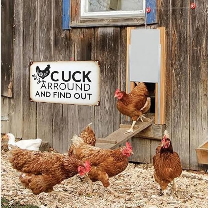 Funny Chicken Gifts Chicken Cluck Around and Find Out Tin Sign for Home Farm Chicken Coop Farmhouse Kitchen Garden Decor 12 X 16 Inch