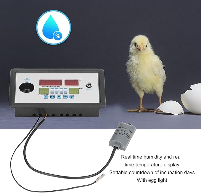 plplaaoo Intelligent Incubator Thermostat,DC 12V 100W Egg Incubator Temperature Controller, Digital Automatic Egg Hatching Incubators Controller for Hatching Duck Eggs Goose Egg