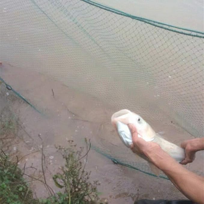 Fishing Drag Net Beach Seine Net 3x20M/10x65FT Cast Net/Fishing Nets Nylon Seine Hand Made 2cm/0.8" Mesh Holes,Fishing Cast Monofilament Nets Seine Fish Netting for Fishing Boat, Fisherman, Creek Lake