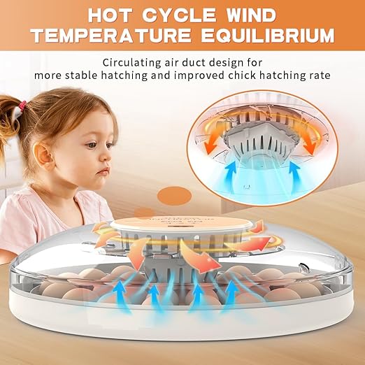 incubators for Hatching Eggs，30 Egg Incubator,Egg Incubator with Automatic Egg Turning，Incubator for Chicken Eggs，Chicken incubators for Hatching Eggs，Quail Egg Incubator