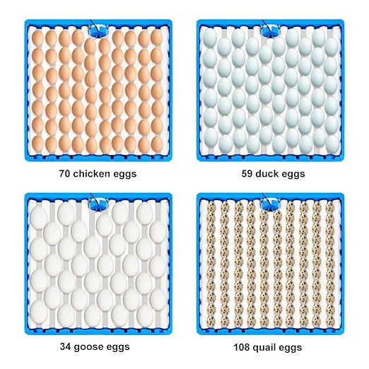 13 Tubes Egg Tray Automatic Roller Egg Tray Turner Plastic Egg Tray for Incubator