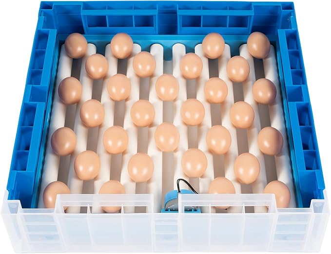 Egg Hatching Incubator 64 Eggs Automatic Egg Incubator Fully Automatic Digital Poultry Brooding Machine, Temperature Humidity Control & Automatic Egg Turner, for Chicken, Ducks, Birds & More