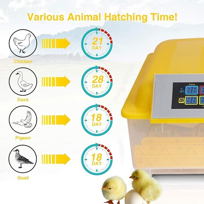 Egg Incubator Automatic Turning Digital Poultry Hatcher with Temperature Control Breeder for Hatching Chicken Duck Goose Quail Birds Turkey, 48 Eggs (Size : 110v)(220V)
