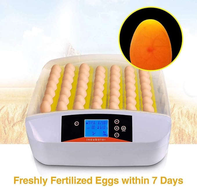 Egg Incubator, 42 Egg Incubators for Hatching Eggs with Automatic Turner Digital Chicken Hatcher Turning Temperature and Humidity Control with Display
