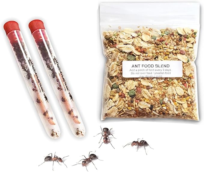 50 Live Ants for Ant Farms Plus Ant Food Included, Red Harvester Ants for Ant Habitats - Live Arrival, Shipped Now - Perfect for Educational Science Projects & Ant Habitat Experience
