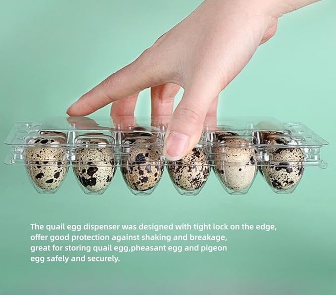 Quail Egg Cartons,15 Grids Small Egg Storage Holders,Quail Eggs Bulk Carton Trays & 2PCS Stainless Steel Cutter