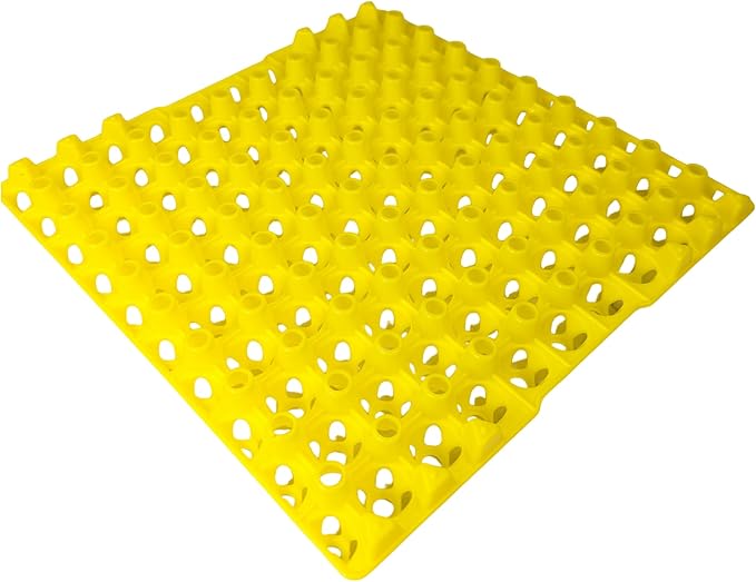 Hen's Choice 90 Egg Plastic Trays for Quail, Pigeon, Dove, Birds. Incubator Flat Carton (Yellow, 12 Pack)