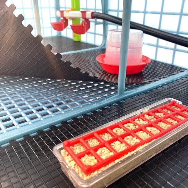 Hatching Time 9.5" Chick Brooders – Stackable or 2-Section Options with Automatic Heating, Modular Design, Easy to Clean, Ideal for Quail, Pheasant, and Baby Chicks (4 Layer)