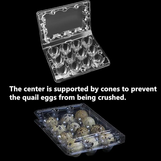 Honkenda Clear Plastic Quail Egg Cartons, 12 Tray Small Eggs Carton Holders Container, PVC Stackable Egg Storage Box with Hinge Lid, 12 Grids Egg Protection Box for Pheasant Pigeon (50 Pack)