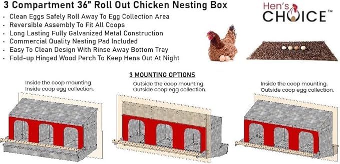 Hen's Choice™ - Roll Out Nest Box for Chickens | Roll Away Nest Box | 3 Compartment 36" | Heavy Duty Galvanized