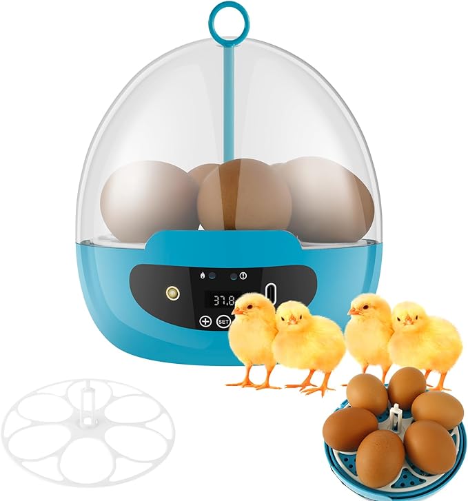 Egg Incubator with 360° Auto Egg Turning and Temperature Control Practical Incubator Smart Egg Incubator for Hatching 6 Eggs Chicken Incubator with LED Egg Light for Hatching Chicks Quails Ducks