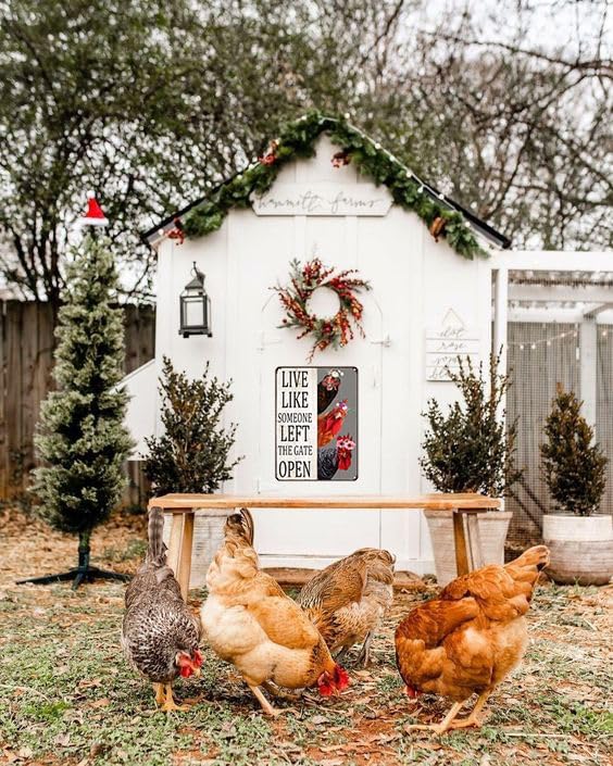 Chiken Gifts Vintage Chicken Sign Live Like Someone Left The Gate Open Tin Sign for Home Chicken Coop Farm Fence Kitchen Bathroom Bedroom Decor 8x12 Inches (3298)