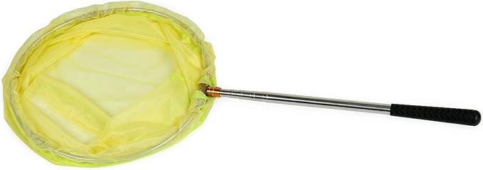 RESTCLOUD Bait Net and Fishing Landing Net with Telescoping Pole Handle Extends to 59 inches
