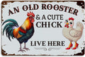 Funny Chicken Gifts for Women, An Old Rooster And A Cute Chick Live Here Aluminium Plate Signs, Humorous Chicken Decor for Farmhouse Coop Kitchen, Rustic Wall Art Decorations 8 X 12 Inch Metal Signs