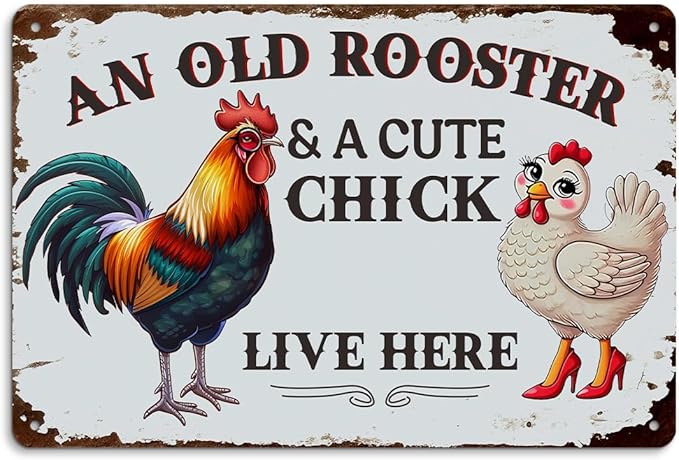 Funny Chicken Gifts for Women, An Old Rooster And A Cute Chick Live Here Aluminium Plate Signs, Humorous Chicken Decor for Farmhouse Coop Kitchen, Rustic Wall Art Decorations 8 X 12 Inch Metal Signs