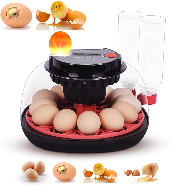 Incubators for Hatching Eggs with Automatic Egg Turning,Temperature & Humidity Control, Come with Egg Candler, External Water Bottles 360° Clear View Incubator for Hatching Chicken Eggs Quail Duck
