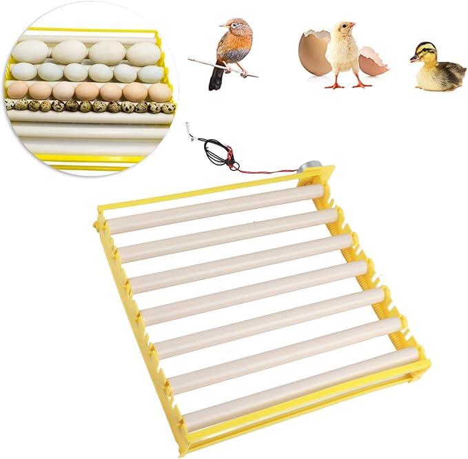 GLOGLOW Egg Incubation Tray, Automatic Egg Turner with 7 Rollers for Chicken Duck Bird Quail Hatching Home Farm Use 16.9x16.7x2.1 Inch