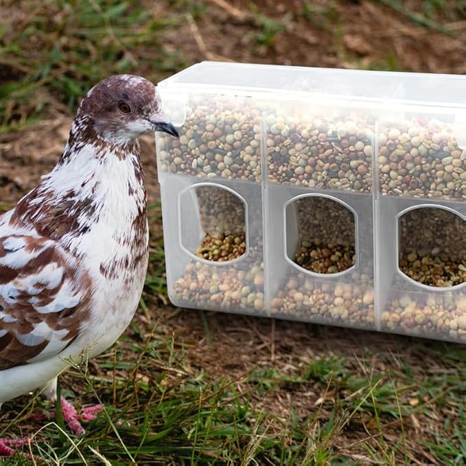 Milisten Automatic Feeder for Bird Cages 3-Hole Quail and Pigeon Feed Dispenser with Hanging Design Lightweight Plastic 9.8 Inch Poultry Feeder for Parakeets Chickens and Small Birds